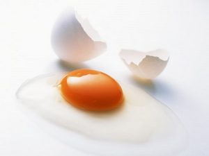 たまご成分